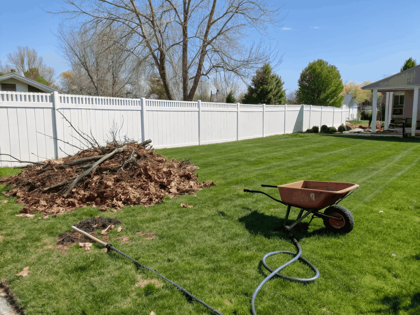 Tidy suburban backyard lawn after comprehensive spring cleanup in Mayflower, Arkansas